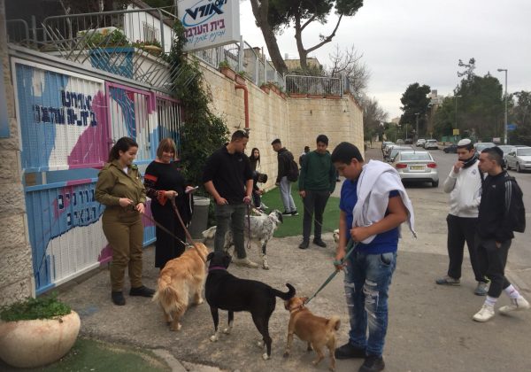 כלבנות